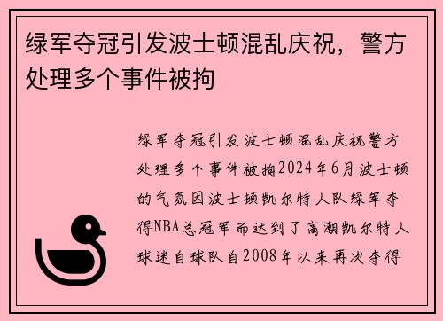 绿军夺冠引发波士顿混乱庆祝，警方处理多个事件被拘