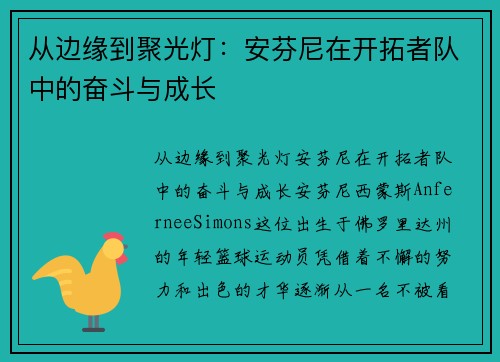 从边缘到聚光灯：安芬尼在开拓者队中的奋斗与成长